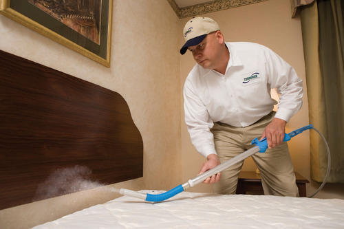 pest cleaning services bangalore