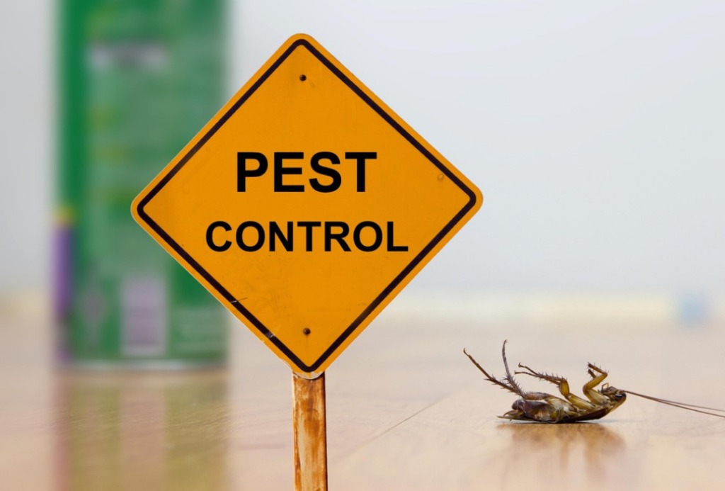 pest control services bangalore