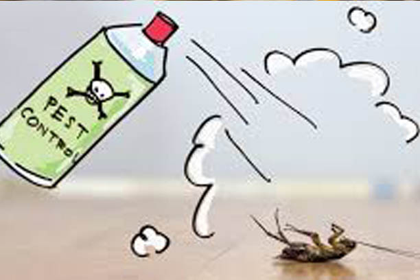 bed bug pest control bangalore
