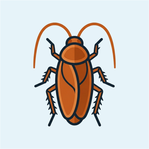 Cockroach Control